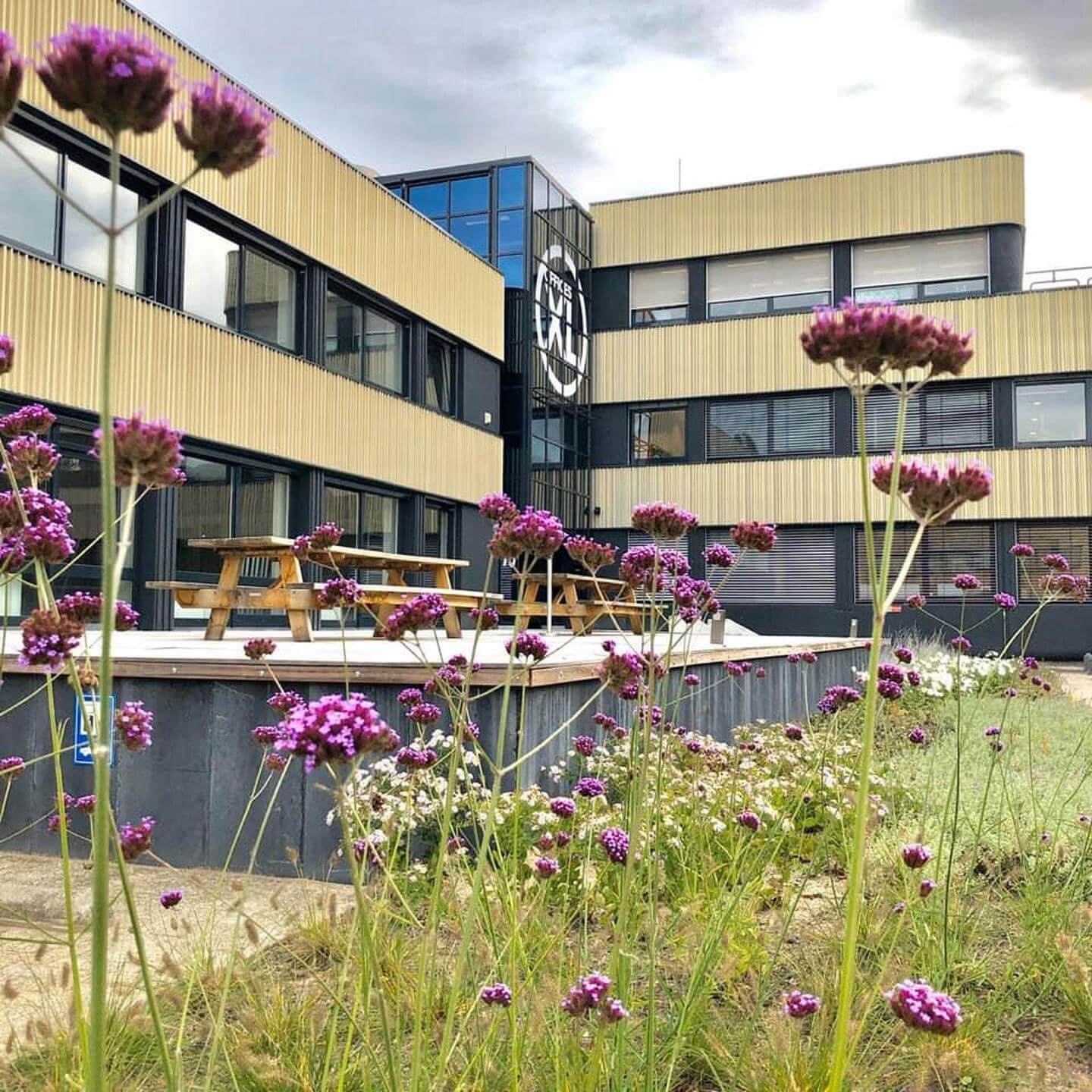 OFFICES XL – HILVERSUM